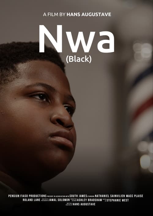 Постер: Nwa (Black)