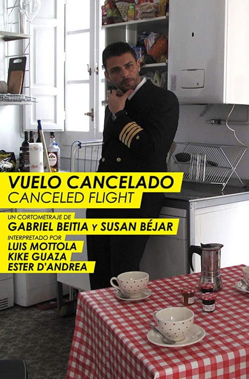 Постер: Vuelo cancelado