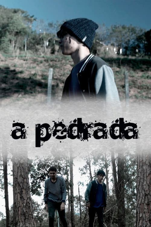 Постер: A Pedrada