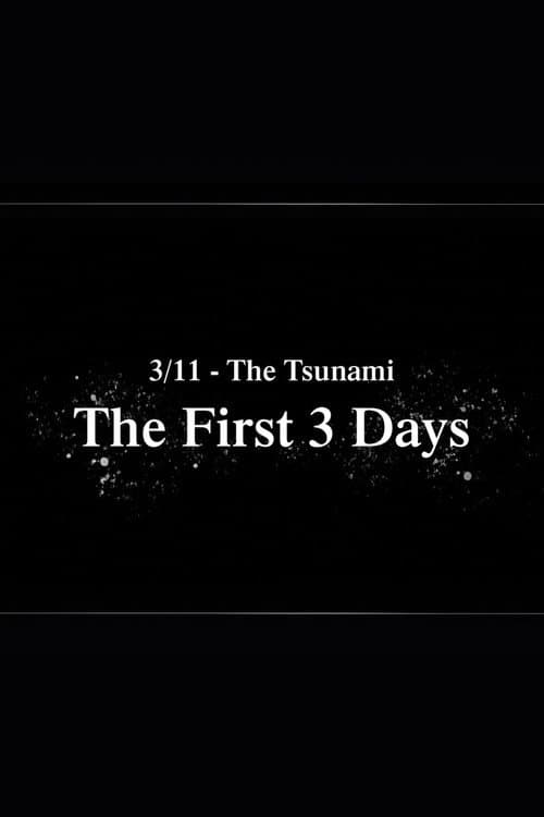 Постер: 3/11 - The Tsunami: The First 3 Days