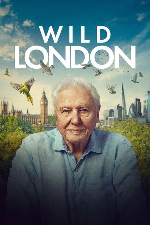 Постер: Wild London