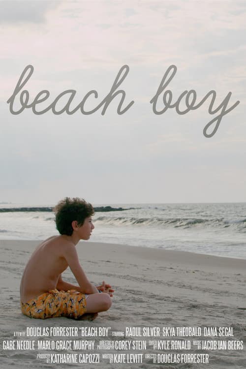 Постер: Beach Boy