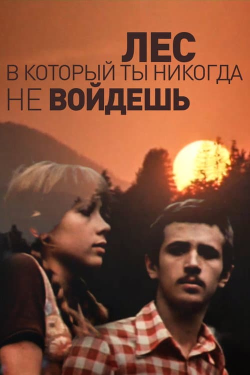 Постер: Лес, в который ты никогда не войдёшь