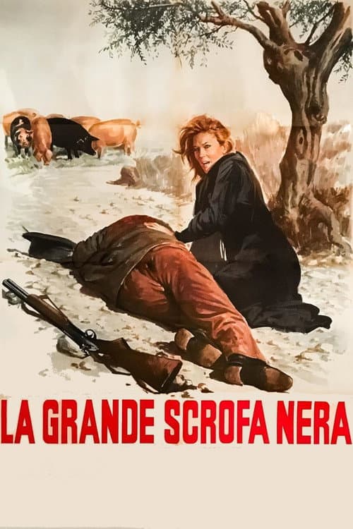 Постер: La grande scrofa nera