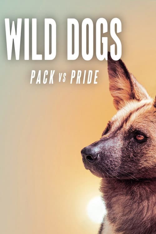 Постер: Wild Dogs: Packs Vs. Pride