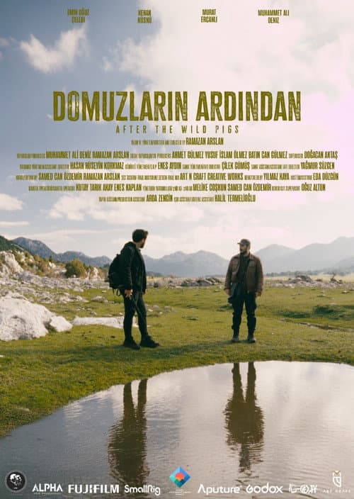 Постер: Domuzların Ardından