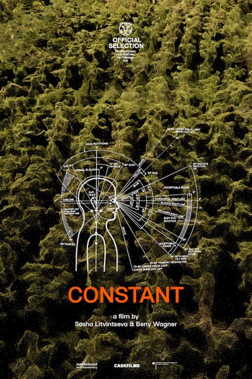 Постер: Constant