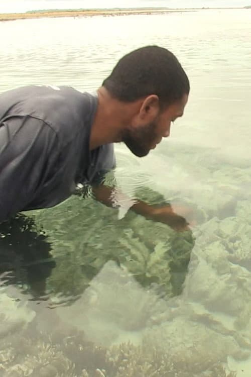 Постер: Pileni paualala. Dried giant clams in the Reef Islands