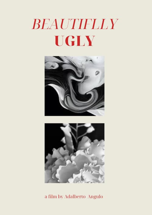 Постер: Beautifully Ugly