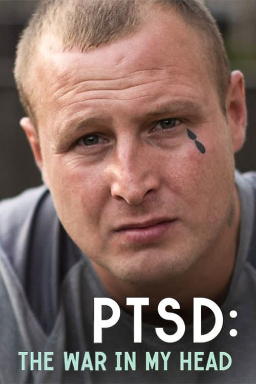 Постер: PTSD: The War in My Head