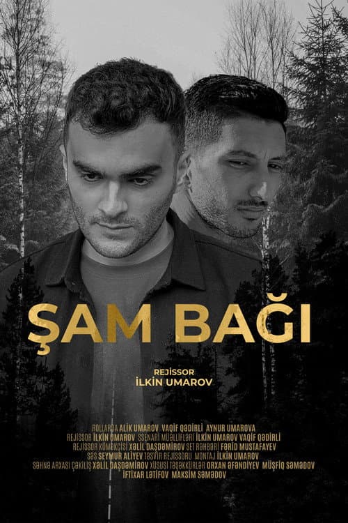 Постер: Şam Bağı