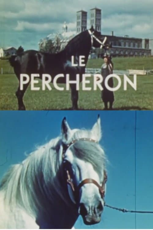 Постер: Le percheron