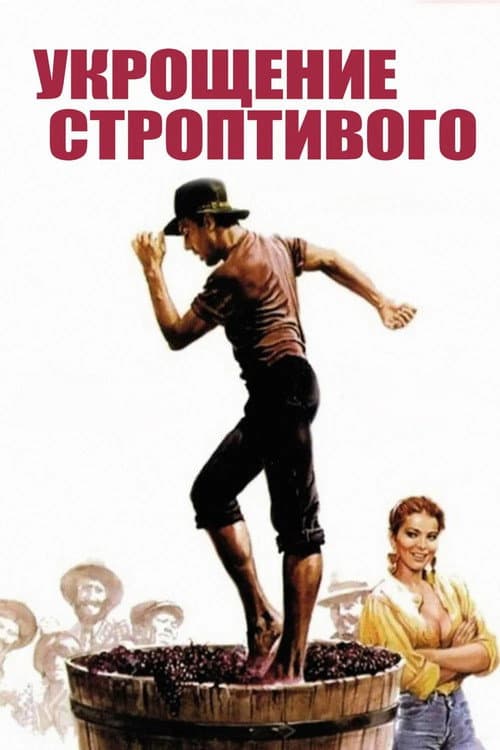 Постер 3