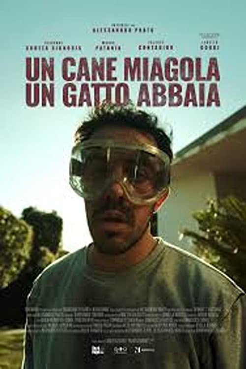 Постер: Un cane miagola, un gatto abbaia