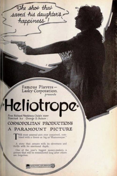 Постер: Heliotrope