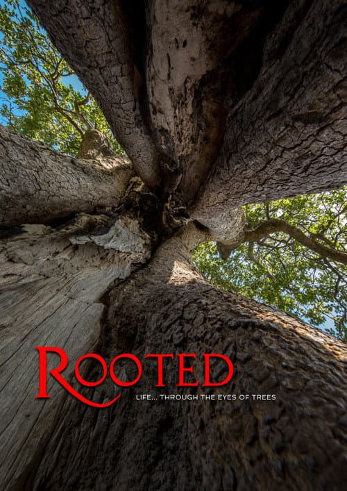 Постер: Rooted