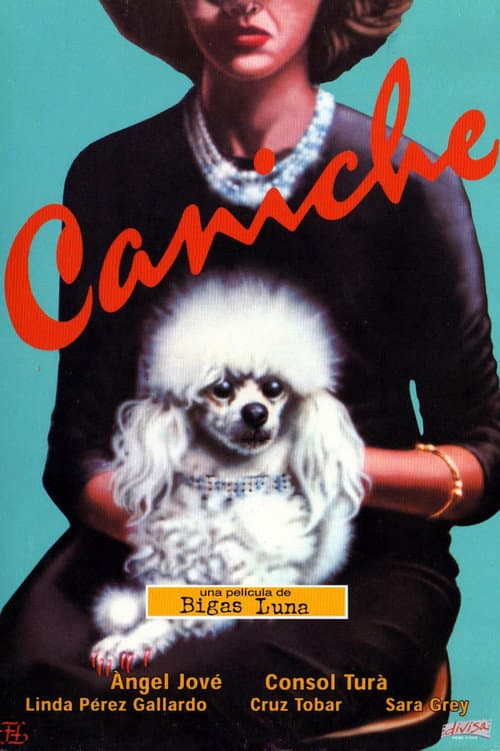 Постер: Caniche