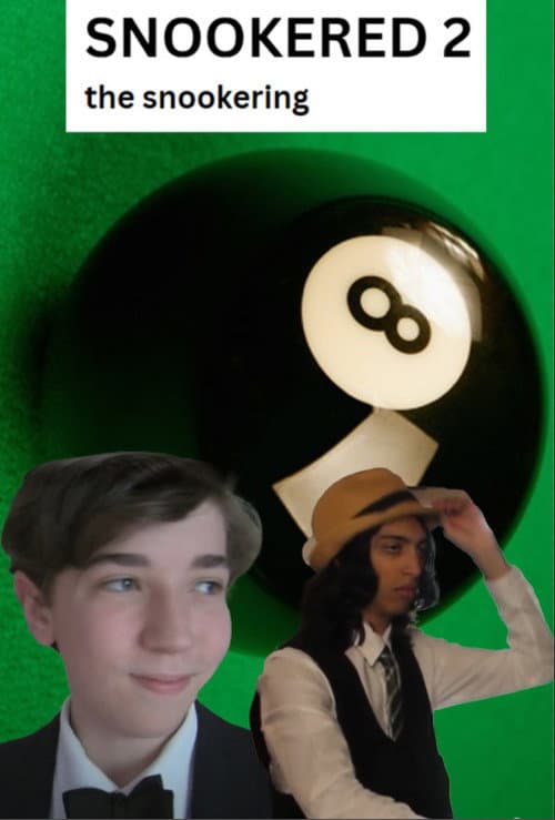 Постер: Snookered 2