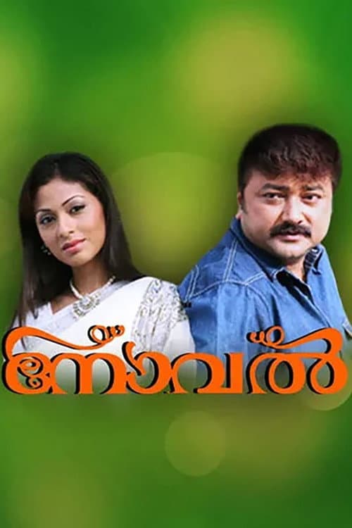 Постер: നോവൽ