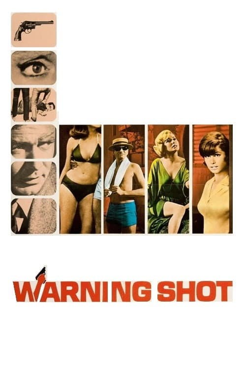Постер: Warning Shot
