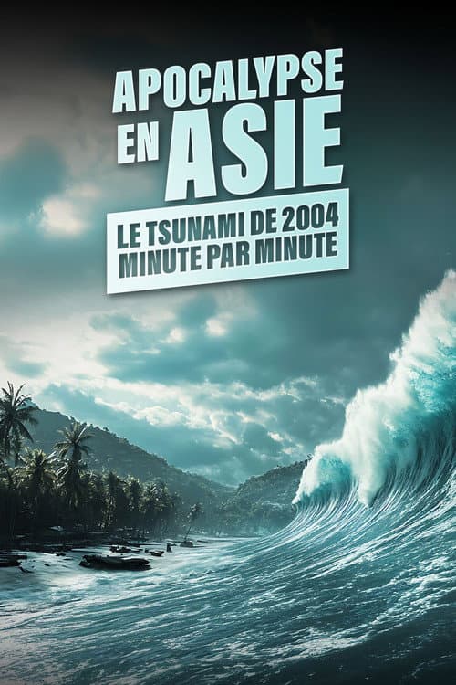 Постер: Apocalypse en Asie : le tsunami 2004 minute par minute