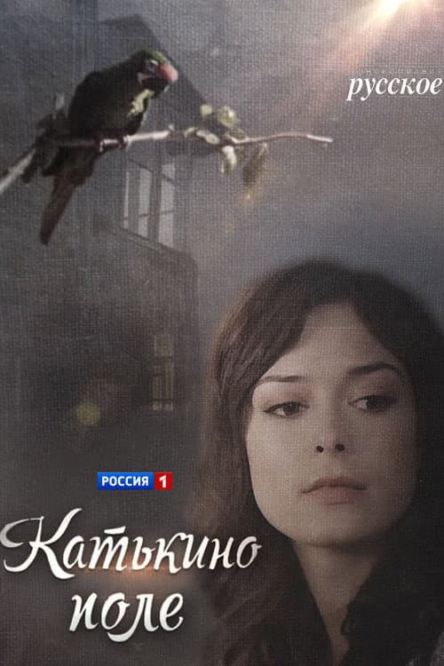Постер: Катькино поле