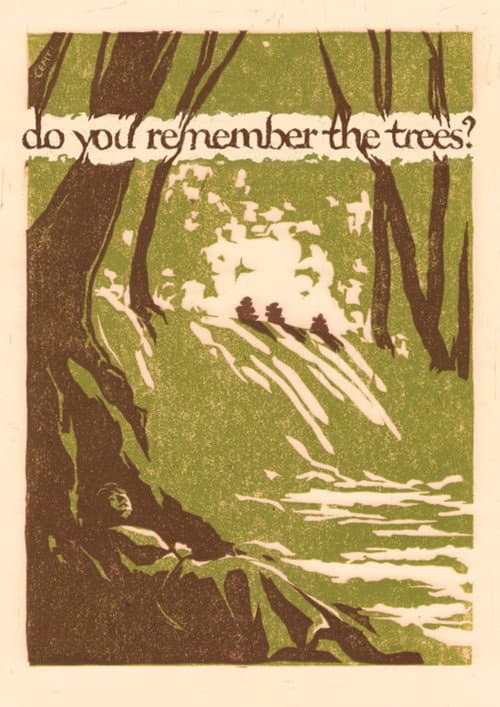 Постер: do you remember the trees?