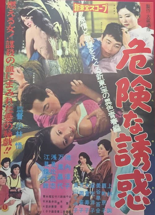 Постер: 危険な誘惑