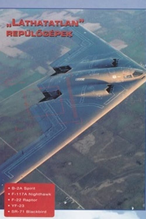 Постер: Combat in the Air - Stealth Warplanes