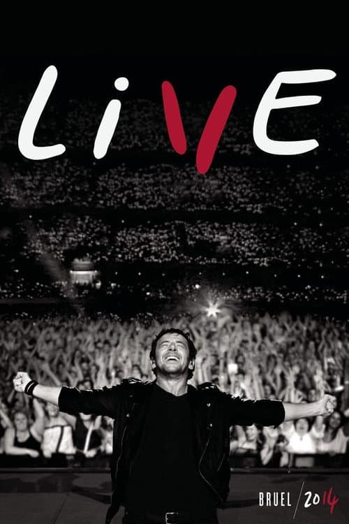 Постер: Il était une fois... Patrick Bruel