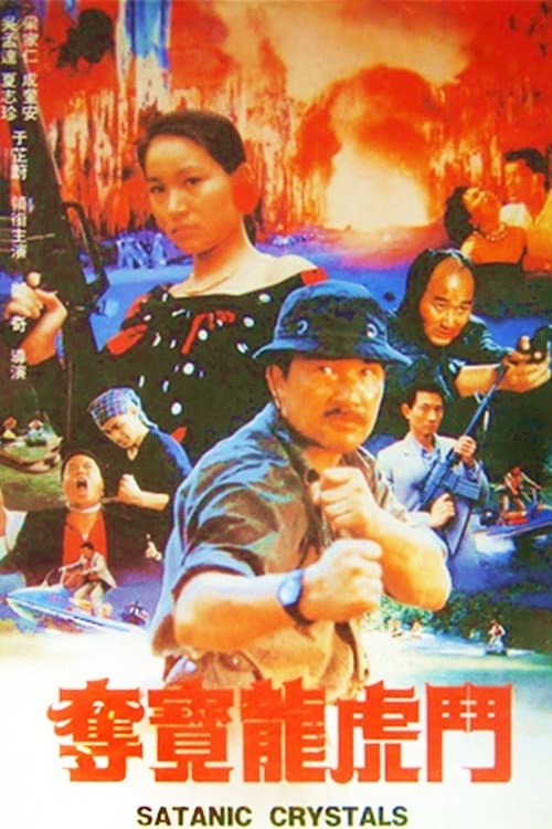 Постер: 奪寶龍虎鬥