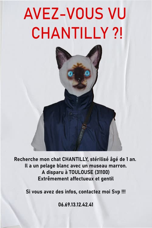 Постер: AVEZ-VOUS VU CHANTILLY ?!
