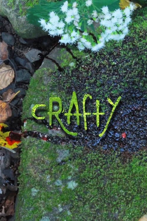 Постер: Crafty