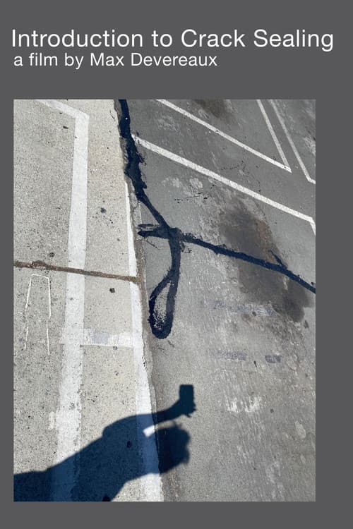 Постер: Introduction to Crack Sealing