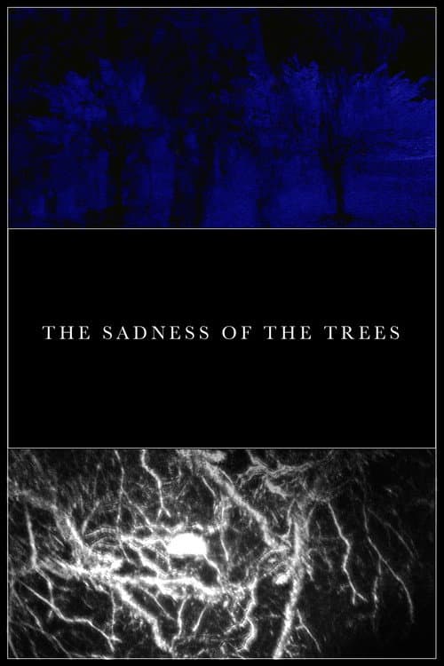 Постер: The Sadness of the Trees