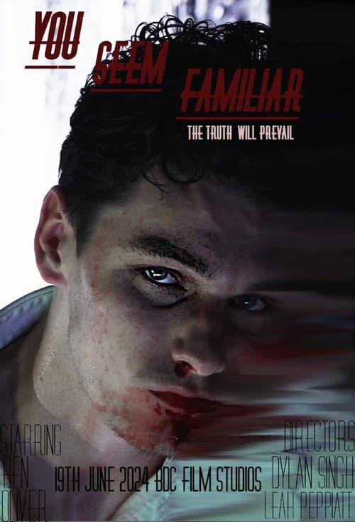 Постер: You Seem Familiar