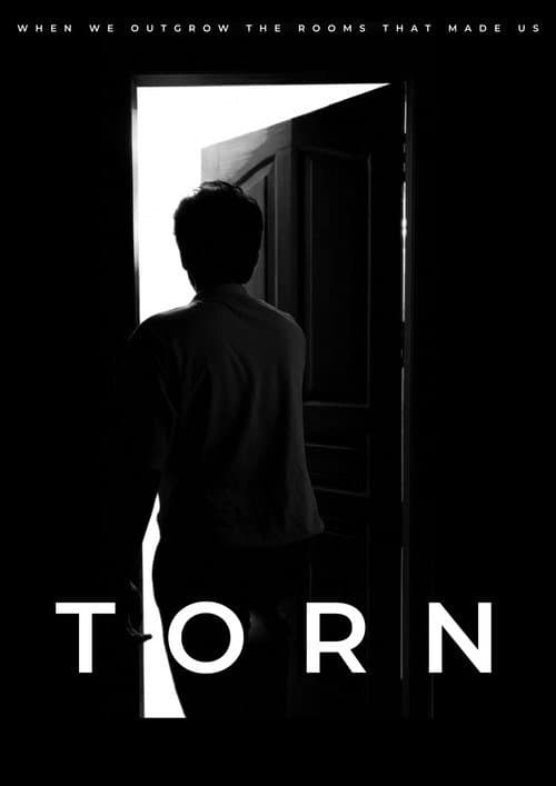 Постер: Torn
