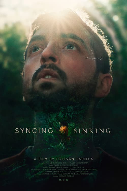 Постер: Syncing Sinking