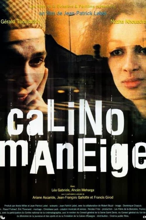 Постер: Calino Maneige