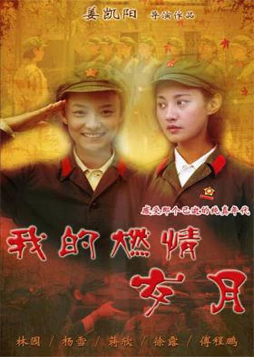 Постер: 我的燃情岁月