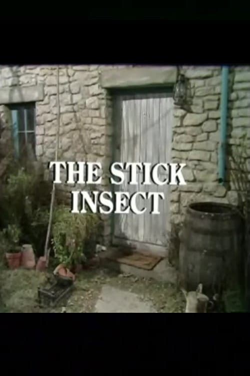 Постер: The Stick Insect