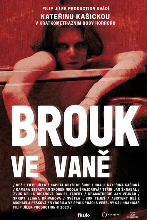 Постер: Brouk ve vaně