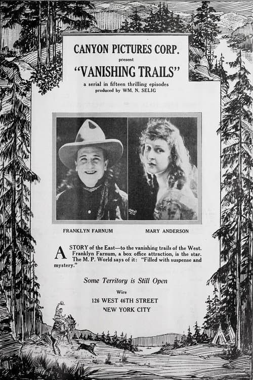 Постер: Vanishing Trails