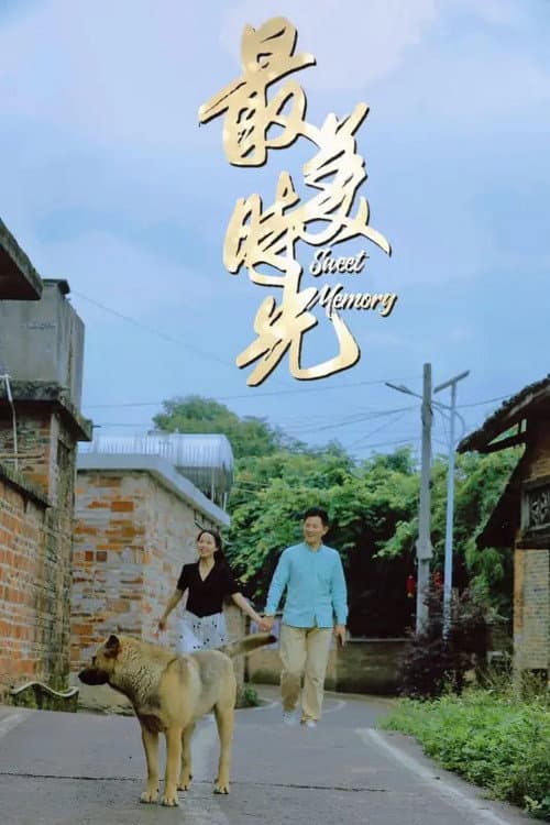 Постер: 最美时光