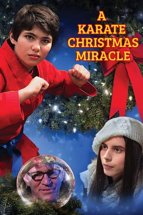 Постер: A Karate Christmas Miracle