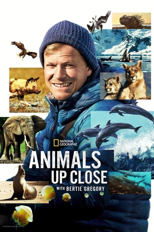 Постер: Animals Up Close with Bertie Gregory
