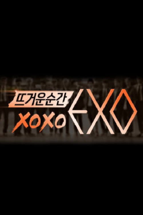 Постер: 뜨거운 순간 엑소