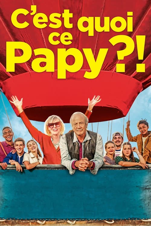 Постер: C'est quoi ce papy ?!