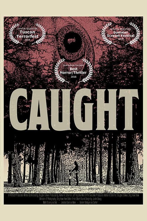 Постер: Caught