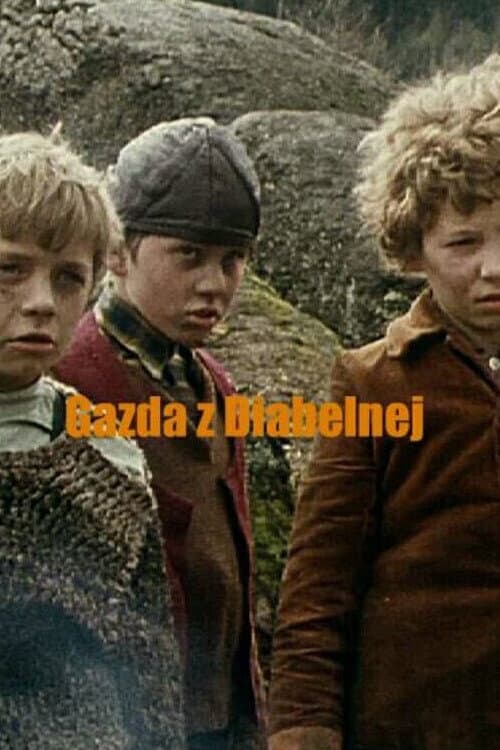 Постер: Gazda z Diabelnej